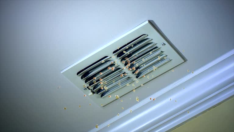 Best General Air Duct Cleaning  in Canton, MO