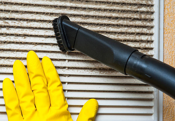 Best Air Duct Mold Removal  in Canton, MO